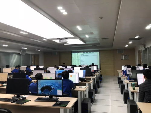 集團舉辦青工常用辦公軟件技能提升培訓與技術比武，賦能軟件技術開發人才成長